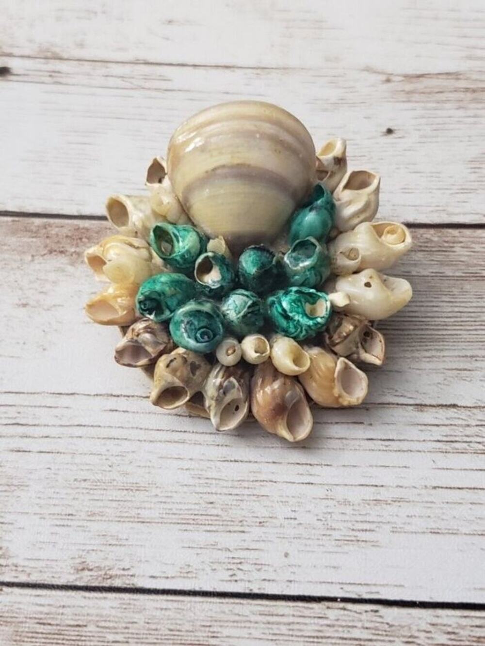 Vintage Brooch / Pin - Large Circular Shells with Dark Aqua Color